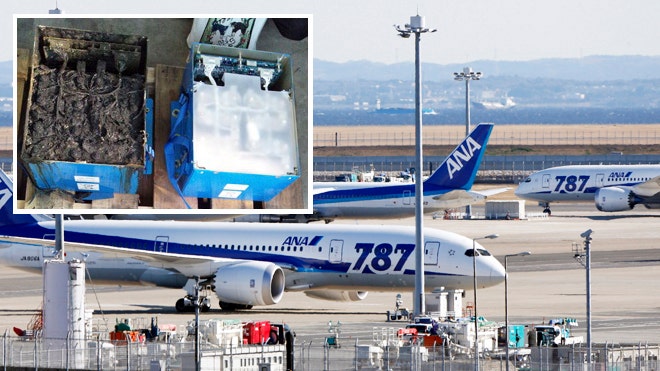 Boeing 787 lion batteries 1.jpg